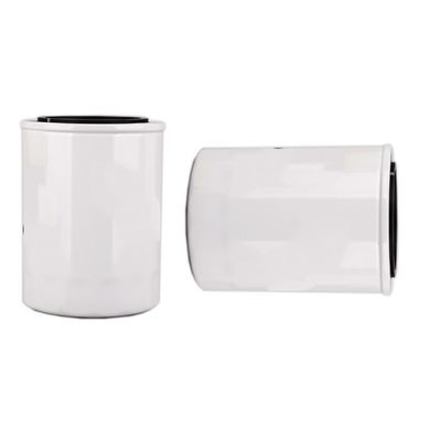 1000395855 WB202G Oliefilter voor dieselmotoren binnen Hydwell