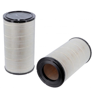 OEM-diensten geleverd luchtfilterelement AF25619 P777871 met glasvezelpapier