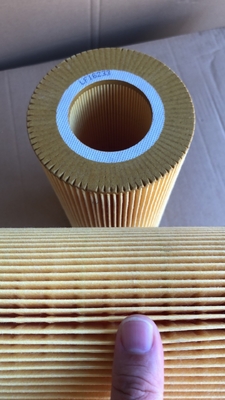 1629393 Referentienummer LF16233 Hydwell Supply Lubricating Oil Filter Element in Country Markets