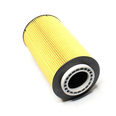 2151728 2234788 HU12009 LF16368 P40069 Filter voor oliefiltratie van vrachtwagenmotorsysteem