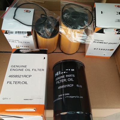 30% T/T Advance HYDWELL Diesel Engine Fuel Filter 4719920 voor Hitachi ZX200-3 94.5*201.6