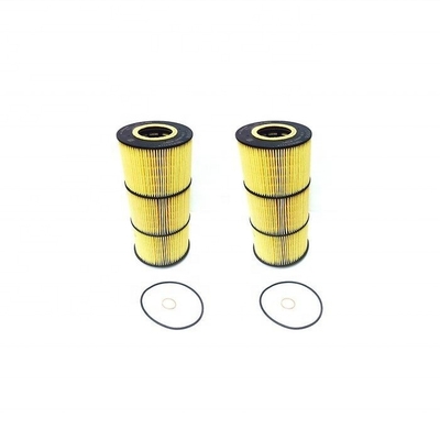 Auto motor onderdelen smeermiddel filter element A4721800509 met en Pocket-Friendly