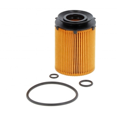 OE NO. A2701800109 Glijmiddelfilter voor Duitse auto's bij Hydwell