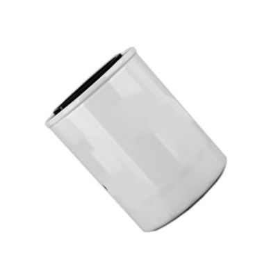 1000395855 WB202G Oliefilter voor dieselmotoren binnen Hydwell