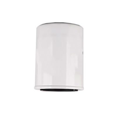 1000395855 WB202G Oliefilter voor dieselmotoren binnen Hydwell