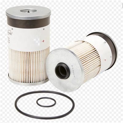 Brandstoffilter FS19765 21737499 85120233 FS550851 Onderdelen voor pomp voor auto-accessoires