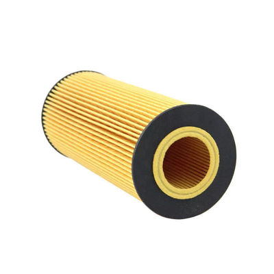 P779004 Trekkers Truck Motor Oil Filter Element binnen 2000-jaar voor LF4072 SH4705