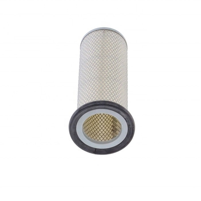 Uitstekende luchtfilter 6001816050 voor AG-CHEM Car Fitting P119374