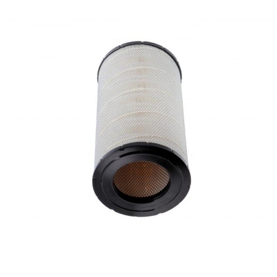 OEM-diensten geleverd luchtfilterelement AF25619 P777871 met glasvezelpapier