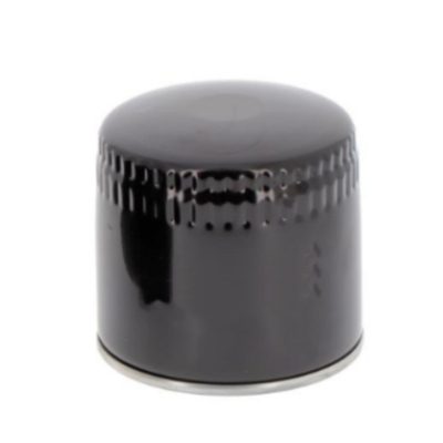Autoonderdelen Oliefilter P550939 15208BN30A 72161316 92319 1504140 148459 2630795 AM38441 110200