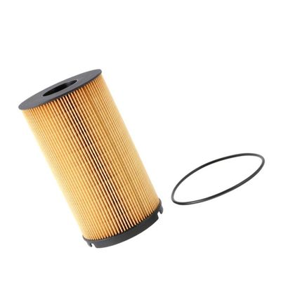 KENWORTH Truck Fuel Filter K37-1012 P581298 met en aangepast ontwerp