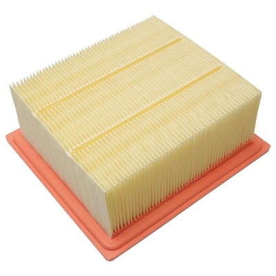 Cartridge Air Filter AF27684 voor Pagani Manufacture en Cartridge voor auto-reinigers