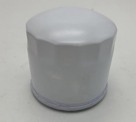 Direct verkopen W950121010 Dieselmotoronderdelen Brandstoffilterelement voor laadtractor