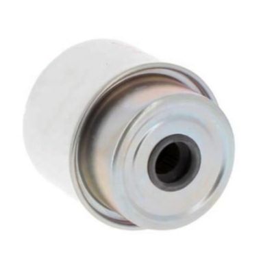 Brandstoffilter P576918 voor vrachtwagen FS19838 SN 70162 FS19573 WK8118 FGO552 RE60021 6005025926 330560552