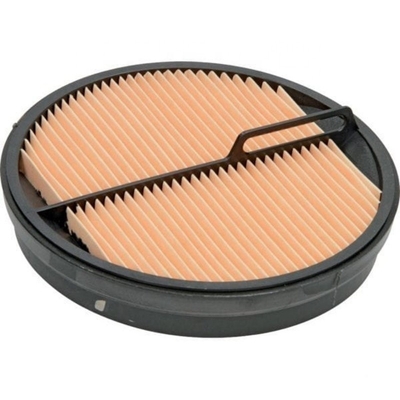 Home Luchtfilter voor trekker Graafmachine Dieselmotoren Onderdelen RE181915 P547520 SA16438