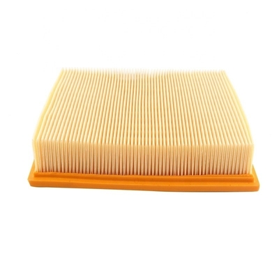 Luchtfilter in de cabine voor tractormotoren Dieselonderdelen 8143691 P782811 AF782811 PF15441 1533846 2242086