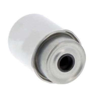 Brandstoffilterelement P551434 5198956 320A7124 RE526319 12750603 voor vrachtwagen FS551434