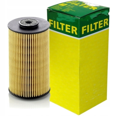 Direct leveringsbrandstoffilter P811 P550861 3I1212 65125035004 7238513 122209 voor graafmachines